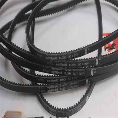 BUKH Alternator Belt 542A0609
