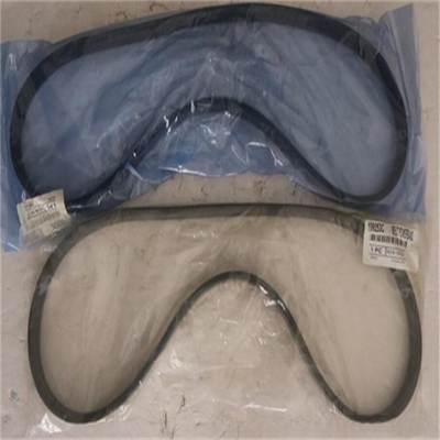 Waukesha Power Band Belt 199253C