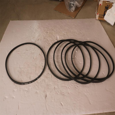 Bukh V-Belt 542A0611