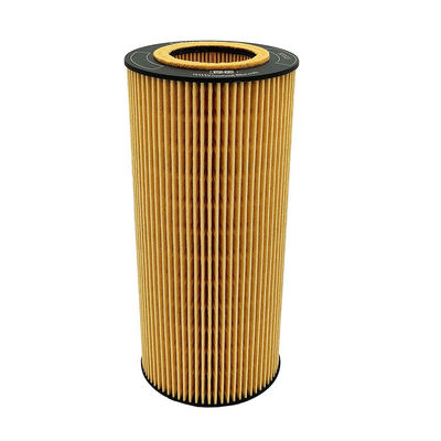 High Performance Automotive Oil Filter E181HD252 LF4008 A9361800009 for Replacing Truck Oil Filters with Automotive Parts