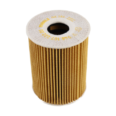 6291800109A 6291800109 BMW Fuel Filter , 94810722200 Element Fuel Filter