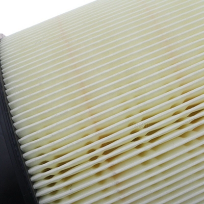 8K0133843 8K0133843D Vehicles Air Filter Audi Engine 8RB