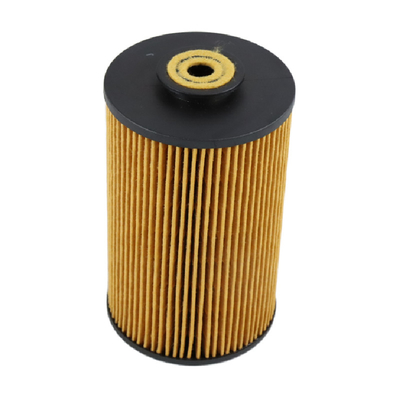 Spare Parts Car Accessories E10KP Hydraulic Fuel Filter Engine Parts For Mann Filter
