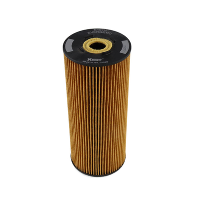 Spare Parts Car Accessories E197HD23 E197H Hydraulic Fuel Filter Engine Parts  For Benz
